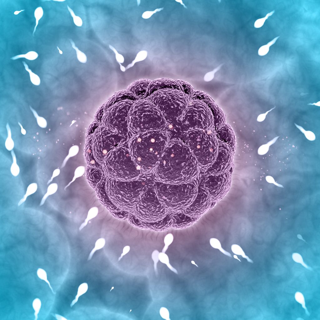 Is Freezing Your Eggs the Secret to Beating the Biological Clock?